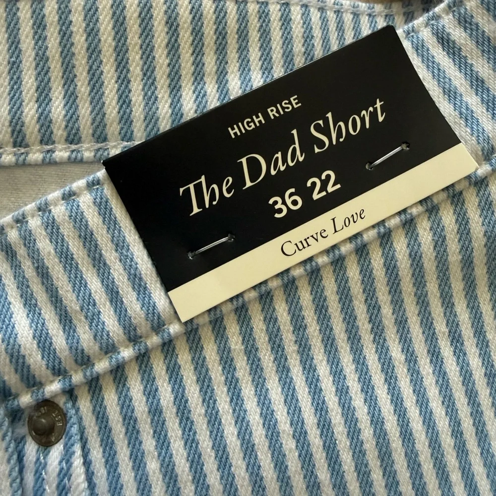 Abercrombie & Fitch Blue Striped Jean Shorts - Picture 3 of 4